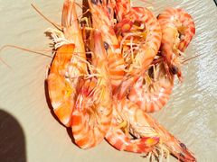 -佬太公海鸭·海鲜大排档(上海总店)