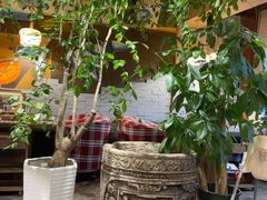 -慢丽江·云南野生菌土鸡锅(付家庄店)