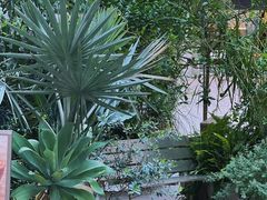 -洪小鹏生活美学馆(领SHOW天地店)