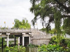 -洛阳市隋唐城遗址植物园
