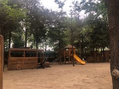 -南宫五洲植物乐园