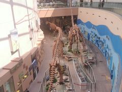 -陕西自然博物馆