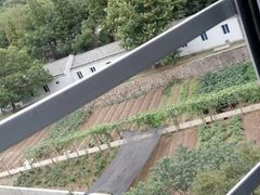 -普陀山佛顶山索道