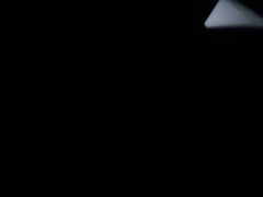 -帕丁顿酒吧Paddington