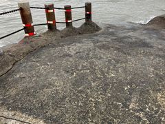 -海沧湾公园