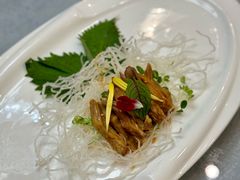 -丁老爷子苏香圆