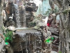 -多彩贵州城极地海洋世界