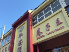 -华盛园卷子王农家菜水库鱼