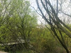 -西湖风景区-江洋畈生态公园