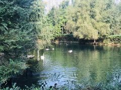 -长白岛森林公园