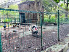 -佛山祈福仙湖酒店