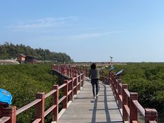 -北海金海湾红树林生态旅游区