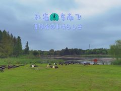 -东平国家森林公园