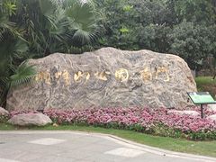 -顺峰山公园
