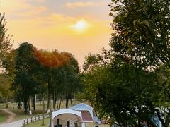 -白鹭湾湿地公园