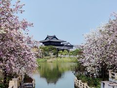 -海珠湖公园