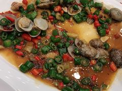 -小耕园