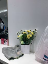 -YESIDO椰岛造型