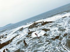 -漳州滨海火山岛自然生态风景区