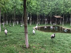 -艾溪湖湿地公园