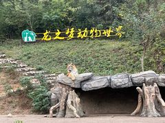 -太湖龙之梦