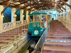 -神户市立六甲山牧场