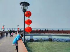 -宝安西湾红树林湿地公园