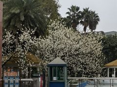 -菲鱼体育恒温游泳馆(中海名城店)