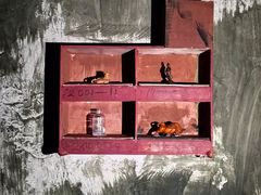 -567·密室逃脱(大良店)