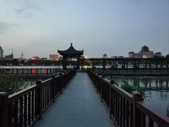 -莲花池公园