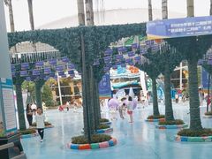 -海合安成都极地海洋公园