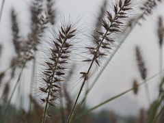 -汉长安城未央宫国家考古遗址公园