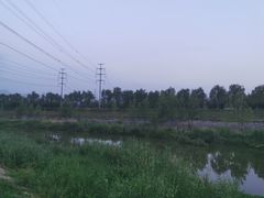 -洨河生态公园