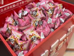 -海底捞火锅(铂澜大象城店)