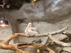 -Zoolung Zoolung动物主题公园(海信广场店)