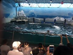 -秦皇岛乐岛海洋王国