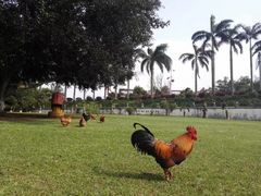 景观位-侯臣咖啡文化村