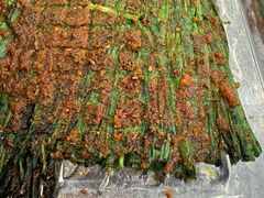 -伊隆斋(什刹海店)