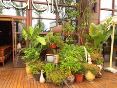 -胡桃里乐队酒馆(鎏嘉码头店)