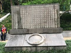 -菊花台公园
