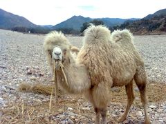 -楠溪江风景名胜区