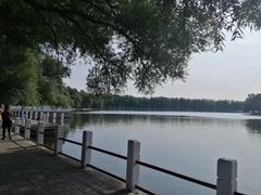 -北陵公园