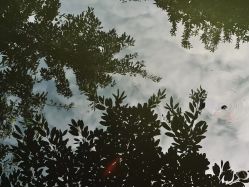 -莲生母婴月子中心(清水河公园店)
