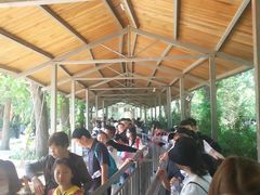 -泰安地下龙宫景区