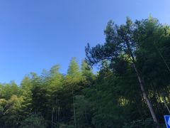 -山沟沟景区