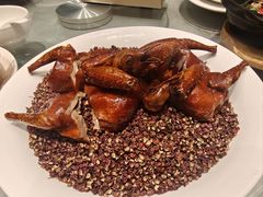 -朱记乳鸽王·非遗石岐乳鸽·全鸽宴(大兴旗舰店)