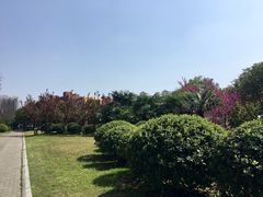 -浦明师范学校附属小学(东城校区)