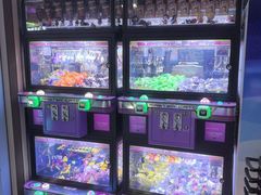-反斗乐园(领展中心城店)