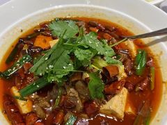 -新吉士·上海菜(浦东LCM置汇旭辉店)