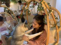 -Husky Go! 哈士奇体验馆·宠物咖啡厅狗咖